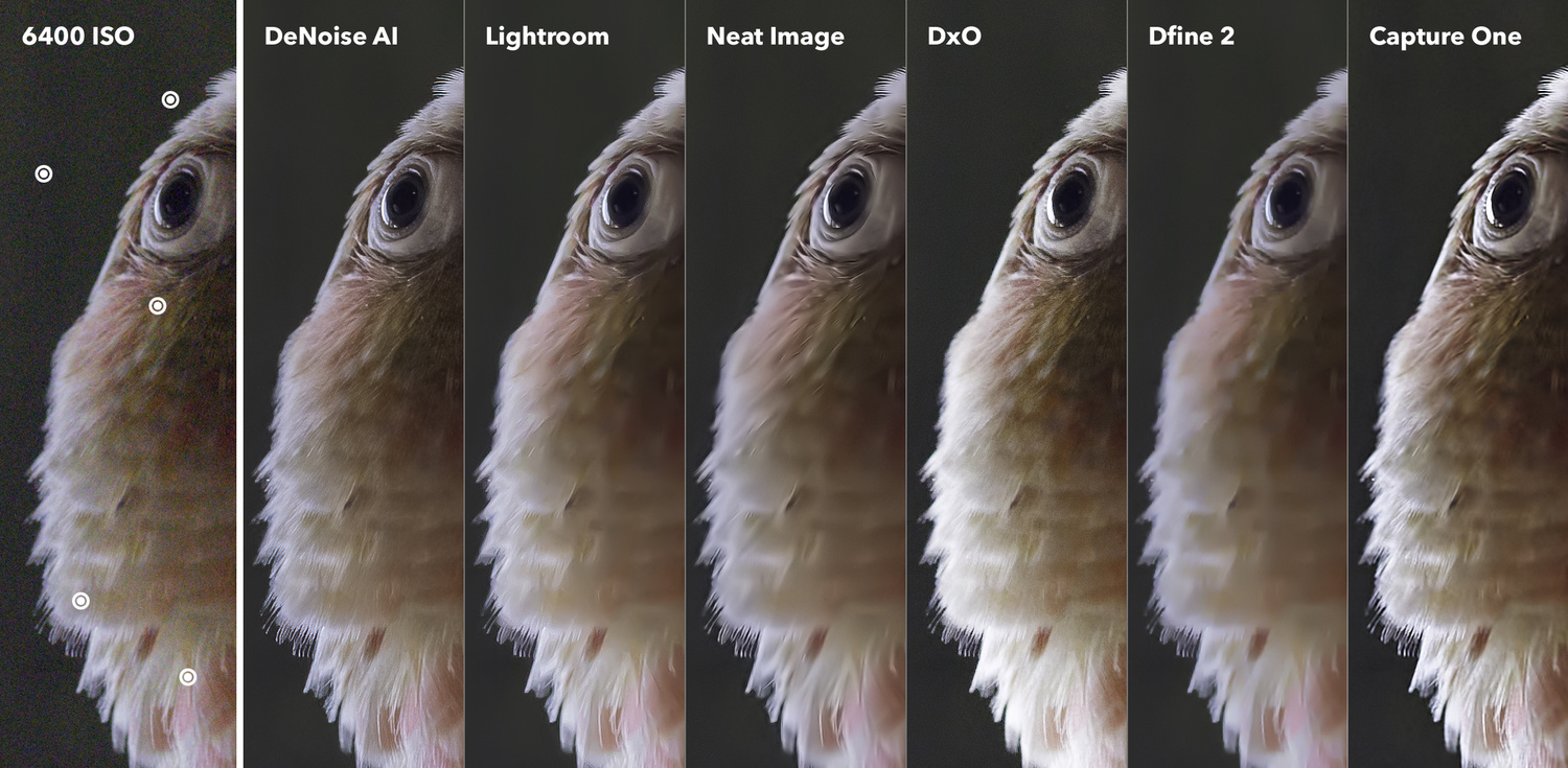 The Best Noise Reduction Software